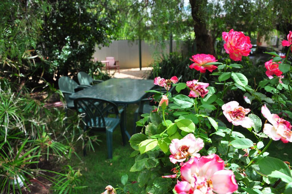 The Dove Cote Bed & Breakfast Тананда Екстериор снимка