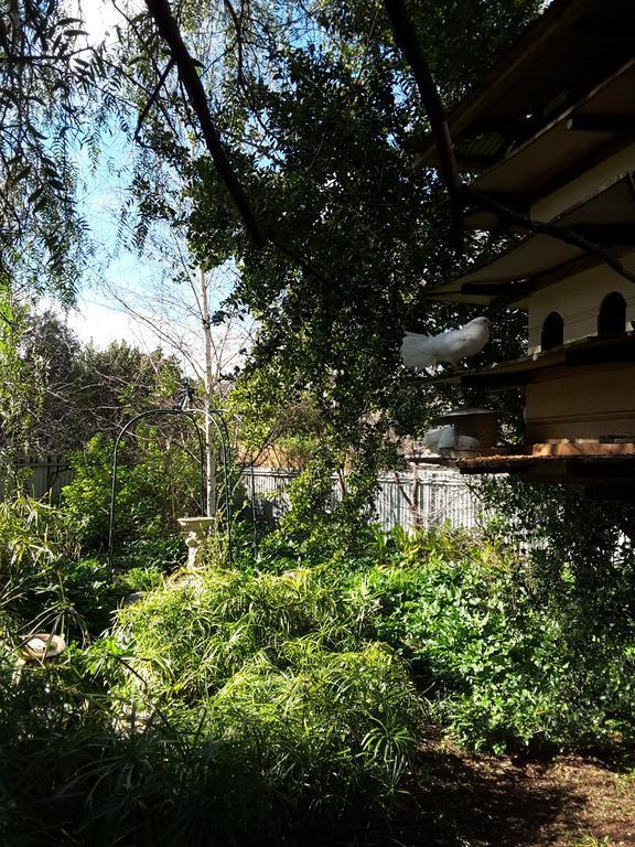 The Dove Cote Bed & Breakfast Тананда Екстериор снимка