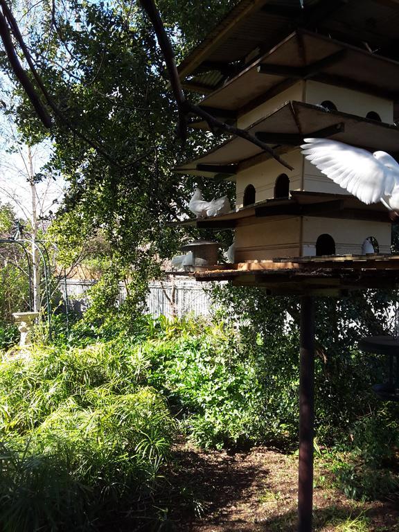 The Dove Cote Bed & Breakfast Тананда Екстериор снимка