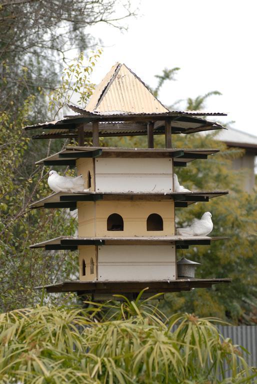 The Dove Cote Bed & Breakfast Тананда Екстериор снимка